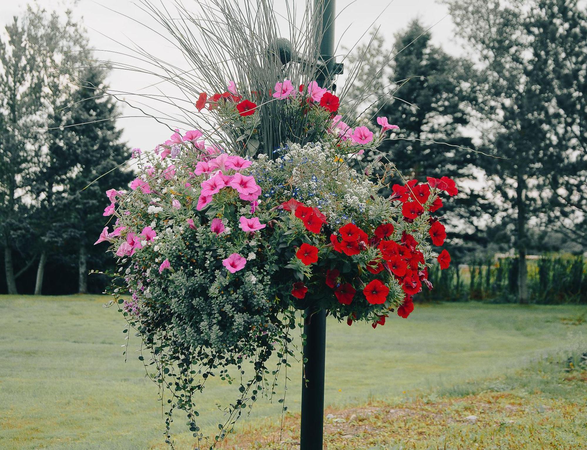 Ceilidh Country Lodge Baddeck Ngoại thất bức ảnh